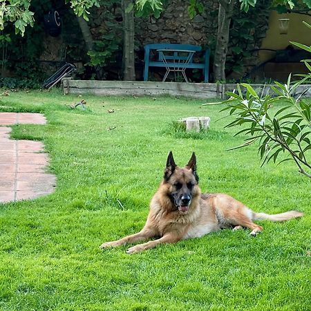 Villa Santa Caterina - Dog Friendly With Garden à Sobrestany Extérieur photo