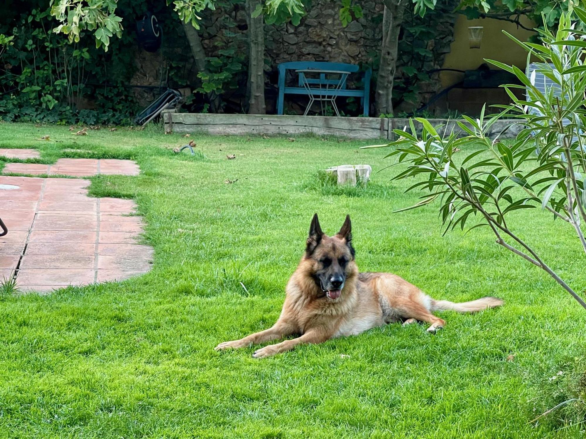 Villa Santa Caterina - Dog Friendly With Garden à Sobrestany Extérieur photo